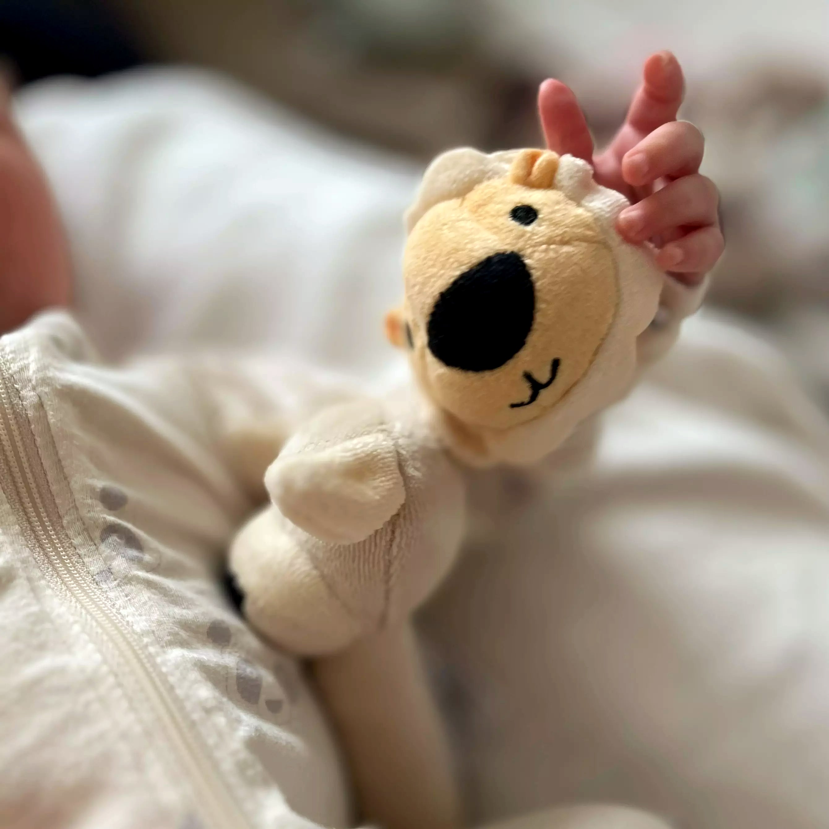 Babyprodukter2-102-_1_1.jpg
