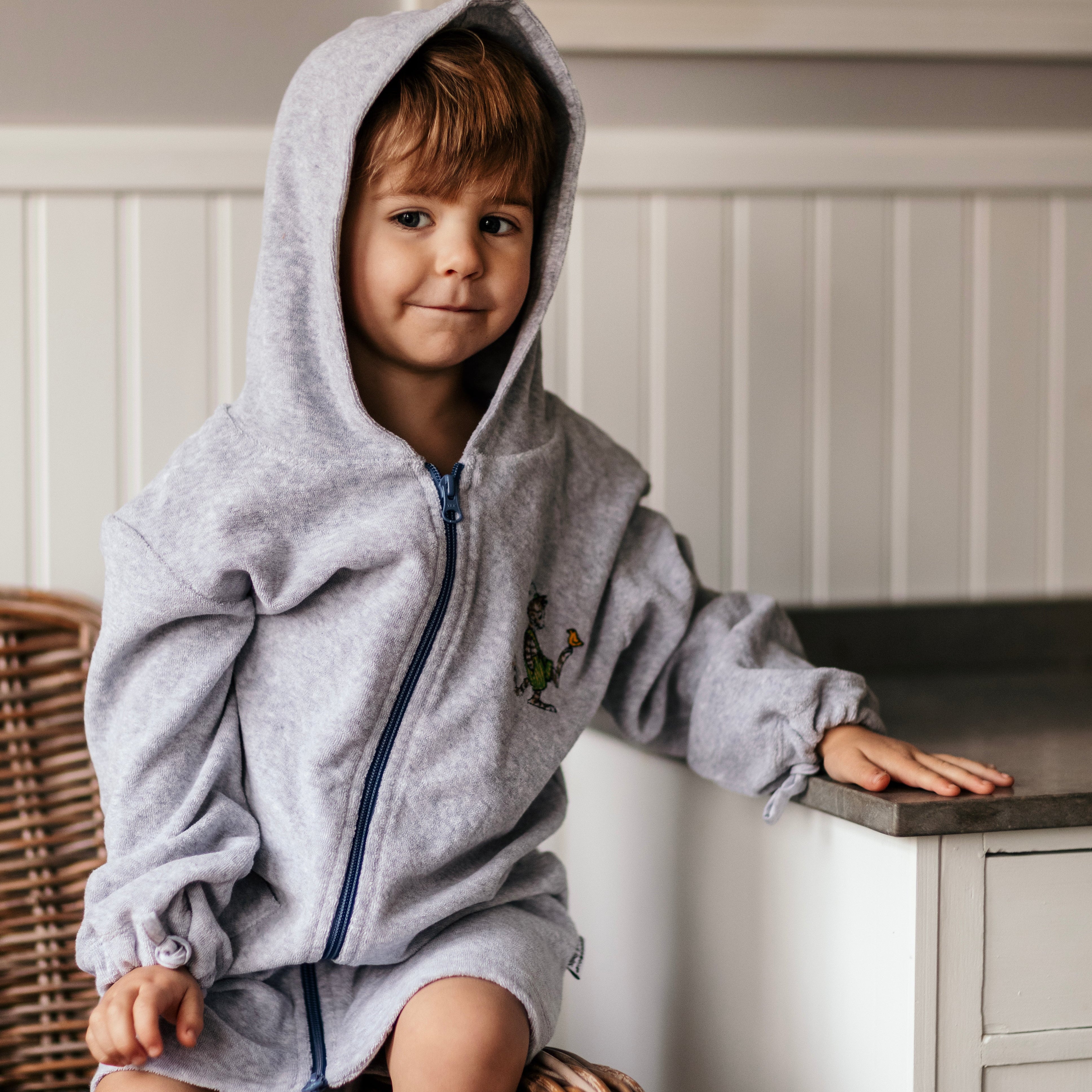 Bathrobe Pettson and Findus Gray